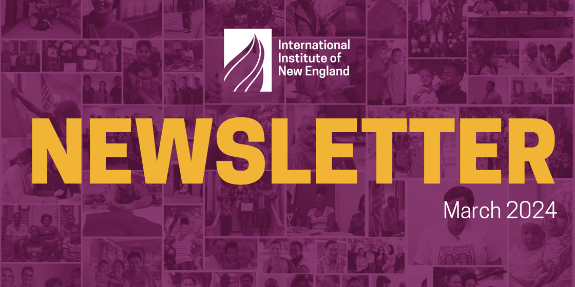IINE Monthly Newsletter Banner